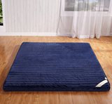 法莱绒珊瑚绒床褥子宜家冬夏两用法兰绒立体加厚床垫1.5m海绵床垫