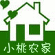桃子家农场店铺