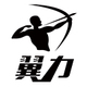 翼力旗舰店店铺