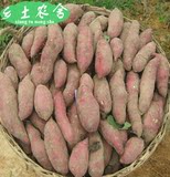 海南澄迈新鲜板栗薯红薯黄心小香薯农家有机产品自种地瓜５斤包邮