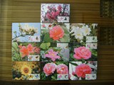团购价70元个性化邮票花卉与蝴蝶极限片10全大全套批发