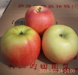 陕西嘎啦美八苹果新鲜水果包邮 特产 农家 新鲜 纯天然（10斤）