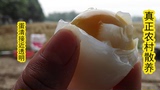 正宗农家散养新鲜鹅蛋 禽蛋土鹅蛋开窝蛋孕妇月子蛋大白鹅蛋