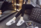 Adidas Superstar 三叶草 黑白金标男女鞋 贝壳头正品板鞋 C77124
