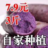 紫薯 农家特产小香薯新鲜番薯红薯地瓜绿色蔬菜非越南紫薯新鲜3斤