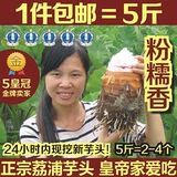 5斤装包邮 广西桂林特产荔浦芋头正宗农家有机新鲜贡品香芋粉糯香