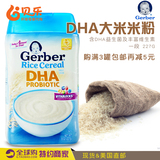 美国进口Gerber嘉宝婴幼儿1段DHA米粉/宝宝一段米糊含益生菌227g