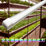 科斯莱特全光谱LED植物生长补光灯花卉育苗兰花水培蔬菜多肉灯管