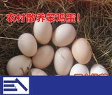 30枚包邮苏北农家有机鸡蛋无激素 散养土鸡蛋 笨鸡蛋 柴鸡蛋喜蛋