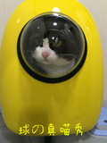 柳柳球！太空猫包宇航员猫包太空舱宠物背包太空包