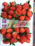 农家现摘新鲜有机奶油草莓  礼盒包装    顺丰包邮 3.5斤