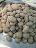 红皮黄心土豆，6斤/36元，包邮，下单才挖，保证新够