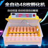 晨杰48枚小型孵化机微型孵化器全自动小型孵化箱鸡鸭鹅蛋孵化设备