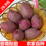 越南迷你小紫薯4斤 新鲜小番薯红薯山芋地瓜新鲜粗粮新鲜蔬菜