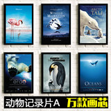 动物记录片电影海报装饰画 地球脉动/帝企鹅日记/海豚湾/迁徙的鸟