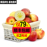 正宗新疆阿克苏冰糖心苹果10斤 新鲜水果红富士礼盒 苹果顺丰