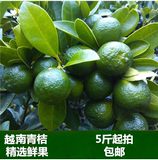 【七彩果园】越南青金桔小青桔青橘茶小柠檬每日新鲜现货5斤起拍