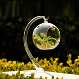 MX欧式可悬挂水晶玻璃花瓶透明花器花盆创意花瓶植物餐桌花瓶摆件