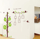 照片树 可移环保墙贴 客厅卧室婚房 温馨照片墙背景装饰贴画