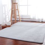 可水洗机洗地毯客厅茶几卧室床边满铺地毯进门门垫可定制隔音毯垫