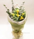 5朵黄色马蹄莲+尤加利叶 惠州鲜花速递  同城配送  淡水网上订花