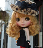 日版Blythe 2013年12月小布娃娃 Leopard Sass 豹纹 正品日本代购