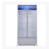 XINGX/星星 LSC-528BW 大容量立式冷藏柜 双门展示柜保鲜柜正品