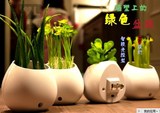创意LED光控节能盆栽七彩小夜灯 仿真植物墙壁灯 情趣经典小礼品