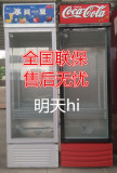 现货冷藏柜展示柜保鲜柜立式单门商用饮料柜冷饮柜蔬菜水果柜冰柜