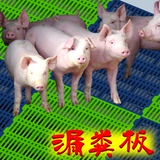 提升仔猪成活率小仔猪保育床母猪产床养猪塑料漏粪板养殖器械设备