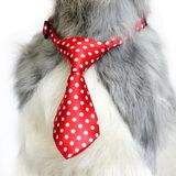 小伙伴 狗领带 猫狗装饰品 宠物项圈配饰 宠物饰品 领结