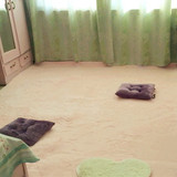 新品可水洗丝毛丝绒地毯卧室茶几床边客厅地毯满铺可定做地垫门垫