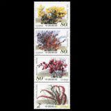 2002年2002-14T沙漠植物 收藏 邮票品 集邮