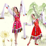 藏族舞蹈演出服装女成人短袖演出服长裙广场舞民族服装表演服饰