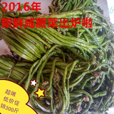 东北特产野生新鲜腌制咸蕨菜山菜系列龙爪菜纯天然山野菜特价250g