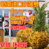 越南小菠萝胜泰国迷你小菠萝进口新鲜水果香水除甲醛36元9斤送刀