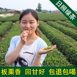日照绿茶2016新茶茶叶春茶散装一级莒县绿茶雪青板栗香自产自销