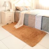特价可水洗丝毛地毯客厅茶几卧室床边家用地毯满铺飘窗可爱地垫