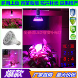 220V全光谱LED植物生长补光灯花卉栽培蔬菜育苗\多肉上色长叶增产