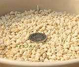 兰花植料-正宗进口植金石 铺面石 大、中、小颗粒（已过筛） 散装