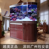 鱼缸水族箱越美子弹头龙鱼缸屏风鱼缸底滤1.2米1.5米超白玻璃鱼缸