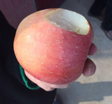陕西礼泉红富士苹果|纯天然新鲜苹果水果80#批发10斤包邮