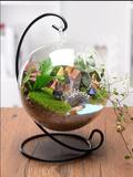 晋盛 多肉植物 悬挂透明水晶玻璃花瓶现代欧式创意水培花器植物瓶