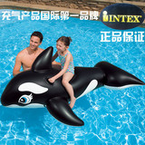 INTEX儿童大黑鲸坐骑 58561特大号充气坐骑 充气沙发 充气坐骑