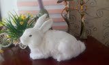 仿真卧兔子模型大白兔桌面橱窗摆件真皮兔毛绒动物玩具礼物包邮