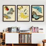 新品美式蝴蝶客厅卧室有框装饰画餐桌走廊墙壁画艺术沙发背景挂画