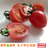 新鲜绿色有机水果樱桃小西红柿粉色千禧果圣女番茄土特产2斤包邮