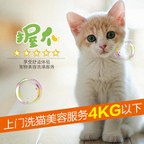上海猫猫上门洗澡美容剪毛专业宠物上门洗猫美容服务美短 0-4KG