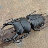 儿童早教益智玩具3D昆虫模型整人玩具仿真甲虫创意玩具昆虫摆件