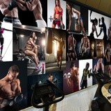 3D大型壁画健身房体育运动肌肉背景墙壁纸俱乐部KTV酒吧美女墙纸